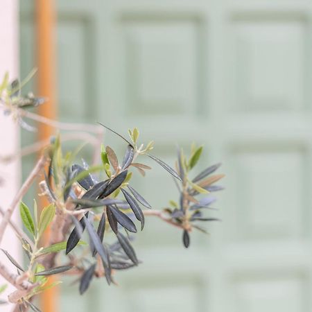 Erofili Traditional House 하니아 외부 사진